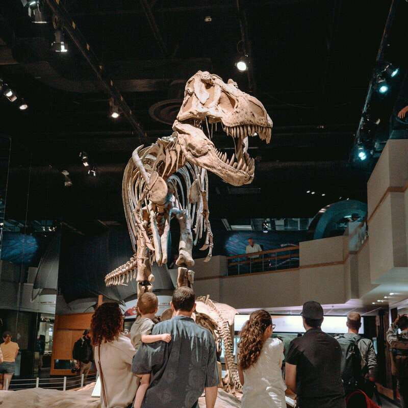 banff-private-badlands-tour-with-royal-tyrrell-museum