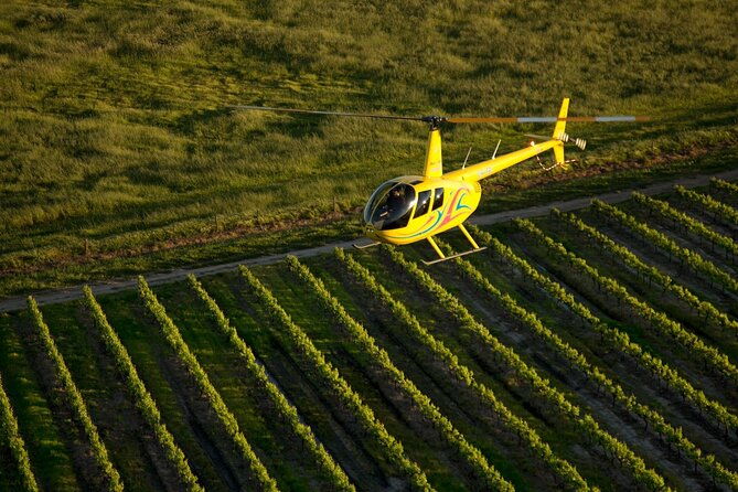 Barossa Valley Behind the Scenes Winery and Vineyard Experience - What Reviewers Love Most
