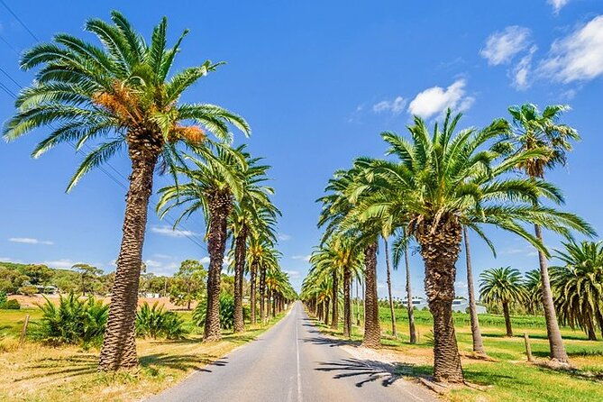 Barossa Valley Gourmet Food and Wine Tour - FAQ
