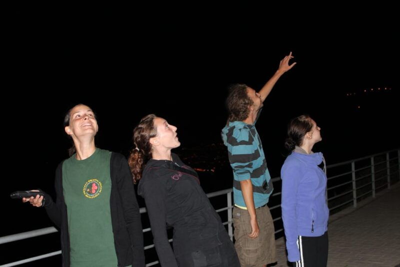 bat-watching-madeira