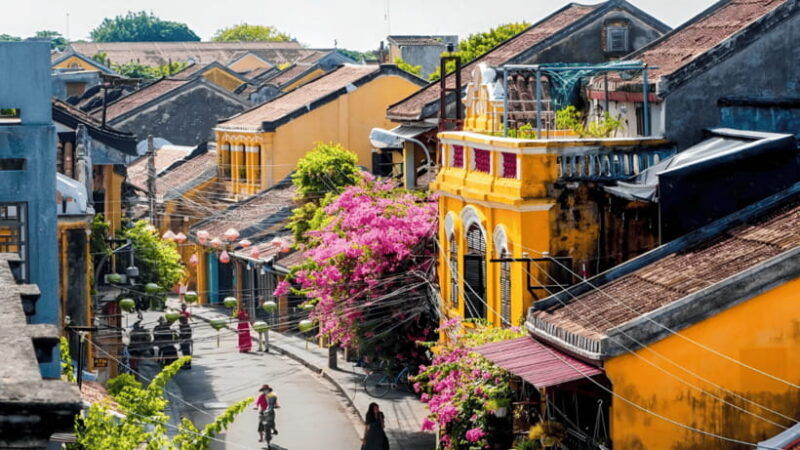 bay-mau-coconut-forest-and-hoi-an-tour-from-da-nang-hoi-an