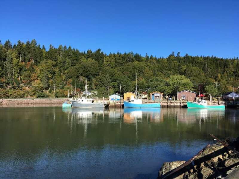 bay-of-fundy-tour-by-luxury-car