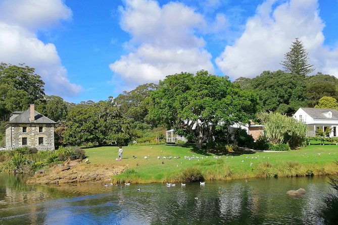 Bay of Islands Half-Day Private Tour - Who Is This Tour Best For?