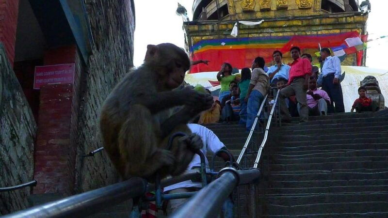 beautiful-kathmandu-heritage-sightseeing-tour-1-day