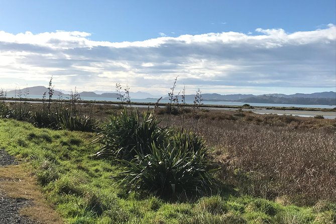 Beautiful Pohutukawa Coast - Half Day Private Tour - To Sum Up  