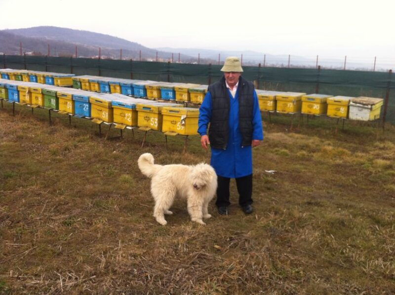 bees-in-romania-private-beekeeping-lesson-and-local-lunch