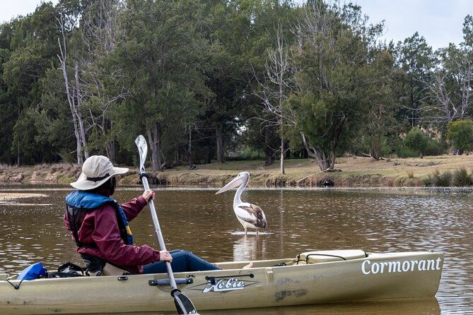 Bega River Kayaking Tour - Authentic Experiences and Reviews