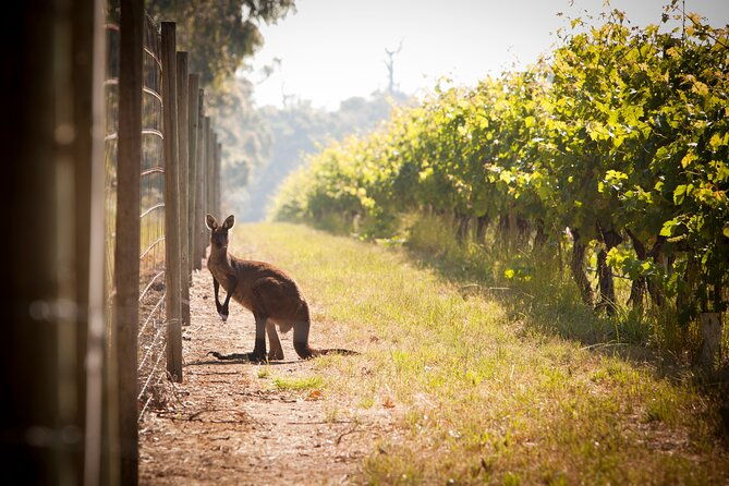 Behind The Scenes Tour with Food & Wine Pairing - Final Thoughts