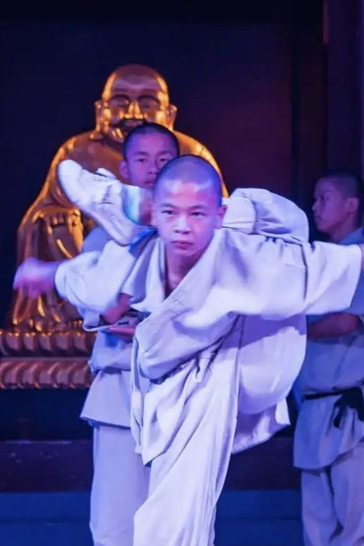 beijing-shaolin-temple-day-tour-by-round-trip-bullet-train