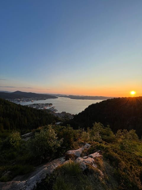 bergen-magical-nature-tour-viflowexperience