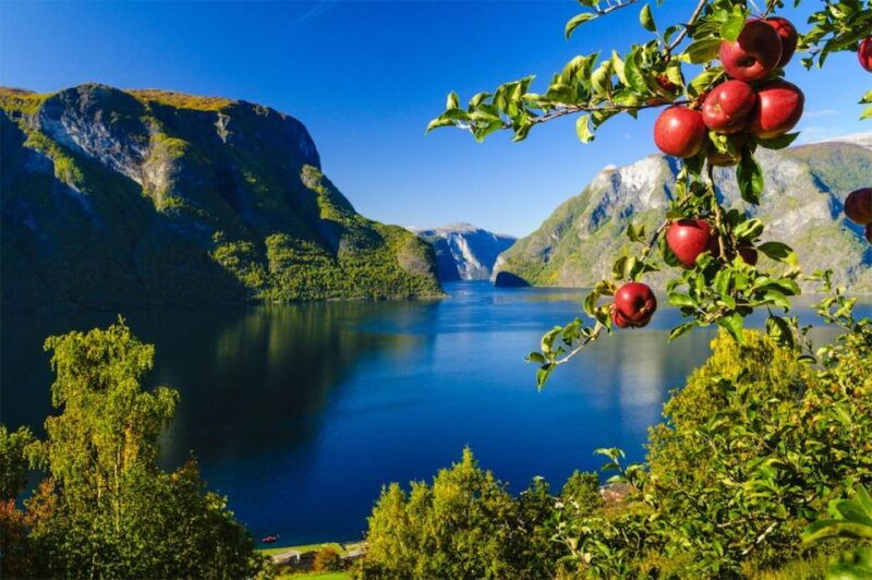 bergen-private-day-tour-naeroyfjord-cruise-and-flam-railway