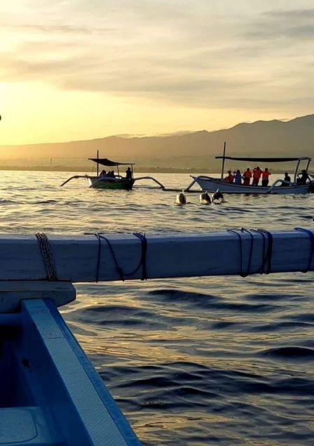 best-lovina-sunrise-dolphins-watching-tour