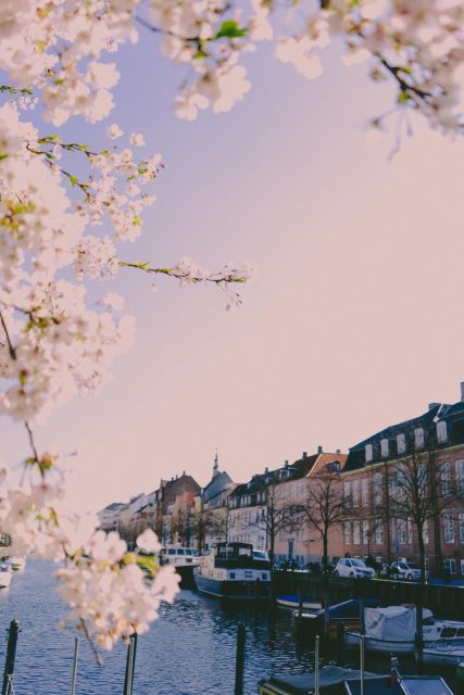 best-of-copenhagen-biking-tour-3-hours-small-group-max-10