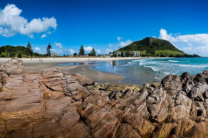 Best of Tauranga & Rotorua's Hidden Secrets - Shore Excursion - Final Thoughts