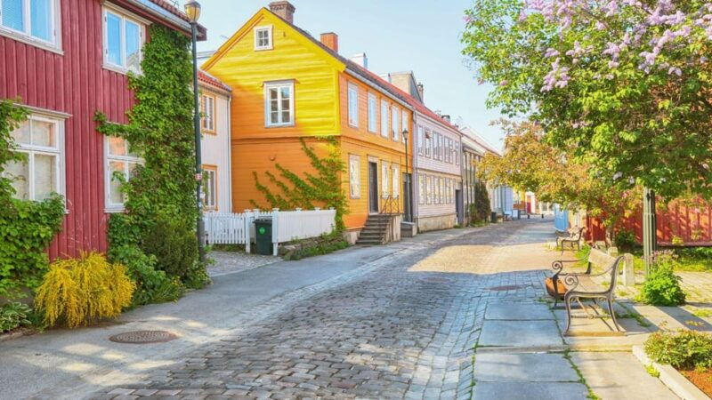 best-of-trondheim-private-walking-tour-with-a-local