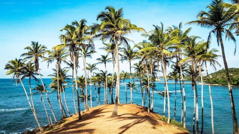 best-sri-lanka-travel-guide-top-attractions-discover