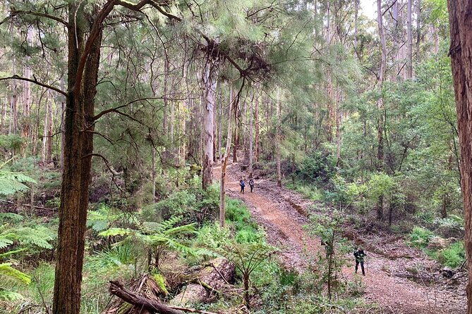 Bibbulmun Multi-Day Hike & Camp | Pemberton  Northcliffe - FAQ