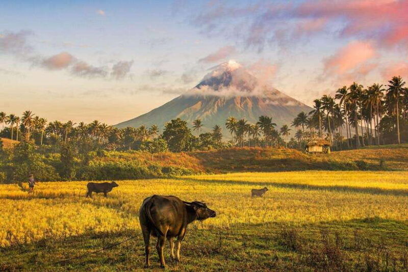 bicol-mayon-advanced-trail-thrill-and-adrenaline