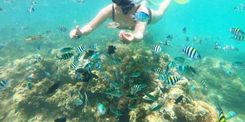 bintan-snorkeling