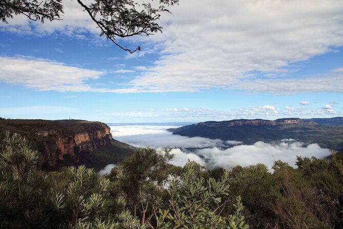 Blue Mountains Small Group Tour with Lunch, Zoo and Scenic World - Who Is This Tour Best For?