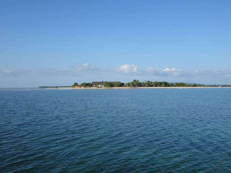 bohol-balicasag-is-private-tour-and-dolphin-watching