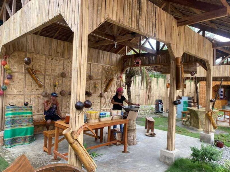 bohol-choco-tour-tarsiers-with-lunch