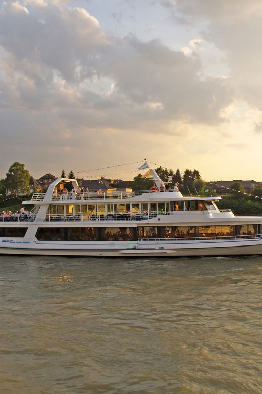 bonn-1-5-hour-river-cruise-on-the-rhine