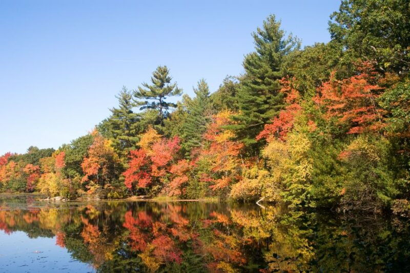 boston-harbor-fall-foliage-luncheon-cruise