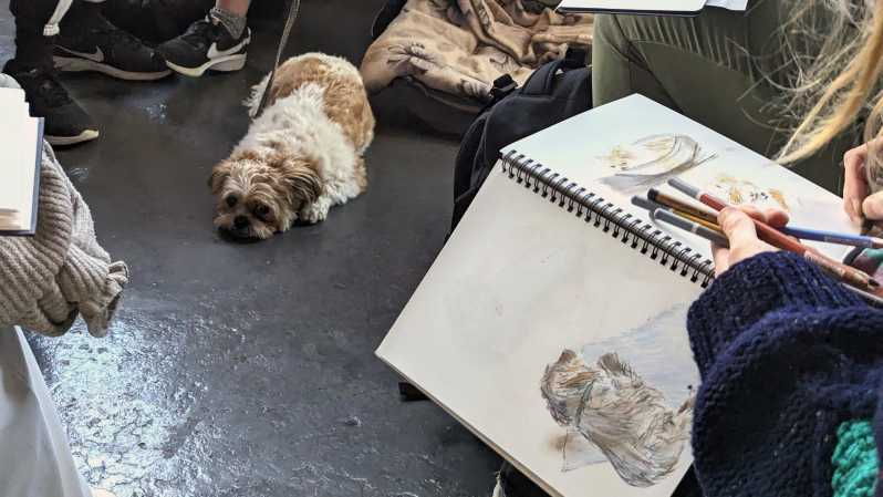 bristol-dog-life-drawing-led-by-local-artist-cai-burton