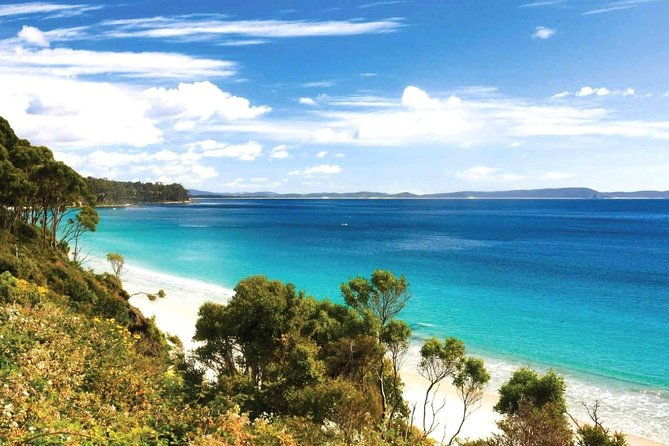 Bruny Island Day Tour Private Charter Service - Who Will Love This Tour?