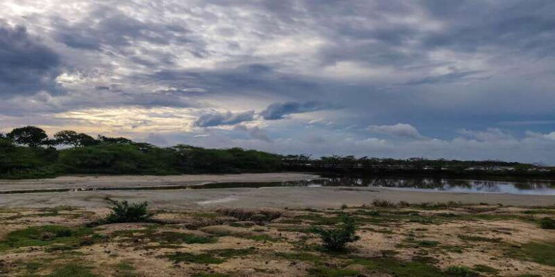 bundala-national-park-3-hour-morning-or-evening-safari