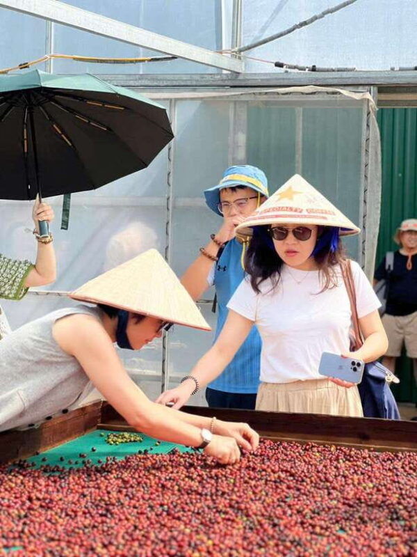 buon-ma-thuot-authentic-coffee-farm-experience-with-lunch