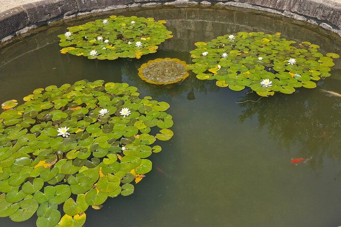 Busan Comfortable Private Tour For 5hours - The Sum Up: Who Is This Tour Best For?
