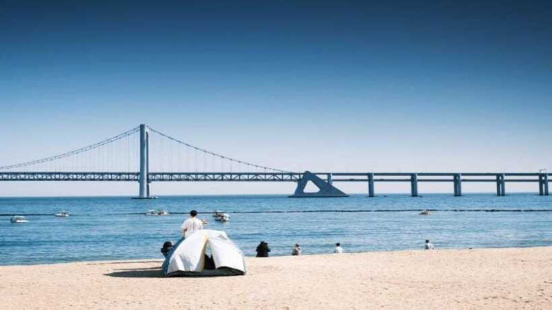 busan-jagalchi-market-gamcheon-village-walking-tour