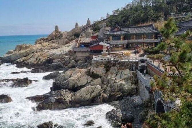 Busan ONE-DAY Highlights for PRIVATE CRUISE PASSENGER'S - Who Is This Tour Best Suited For?
