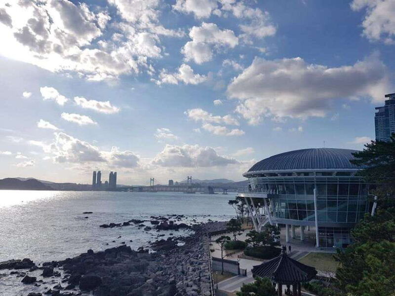 busan-private-full-day-tour-by-ktx-from-seoul