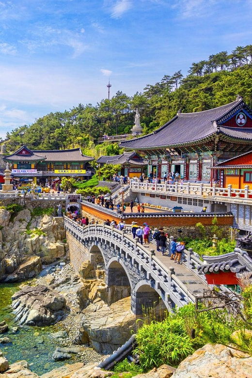 busan-top-attractions-private-tour-with-tickets
