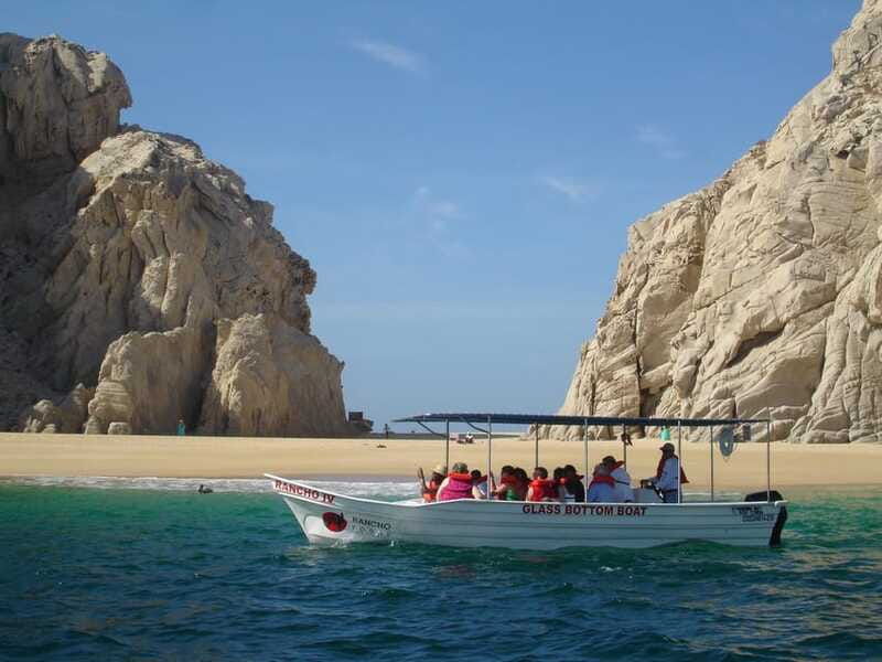 cabos-1-glass-bottom-boat-arch-amazing-wildlife