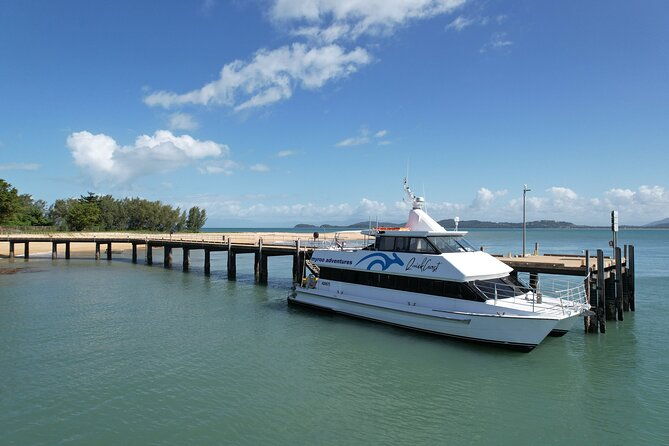 Cairns: Enjoy Dunk Island | Small Group | Outer Reef Snorkel - FAQ