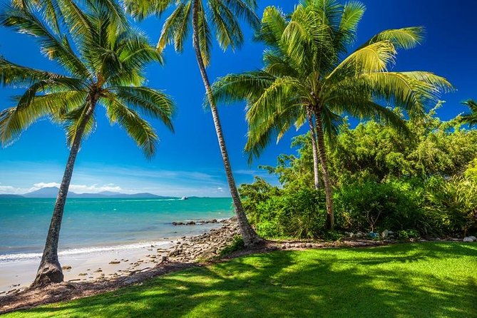 Cairns & Port Douglas All-Inclusive 7 Days Touring Package - Exploring Daintree and Cape Tribulation