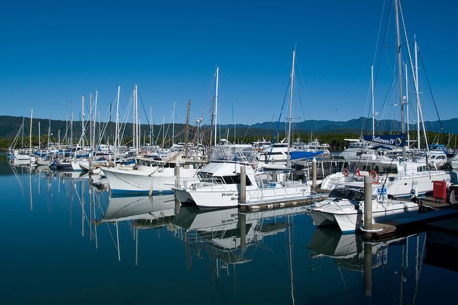 Cairns Reef/Rainforest : Daintree Rainforest & Great Barrier Reef - The Sum Up
