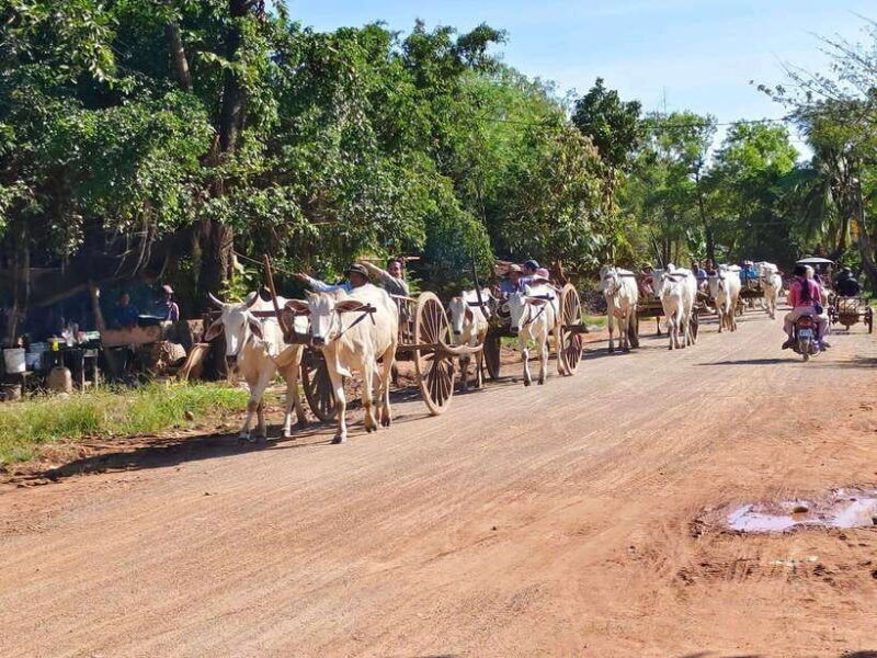 cambodia-cooking-class-oxcart-ride-with-local-village-tour