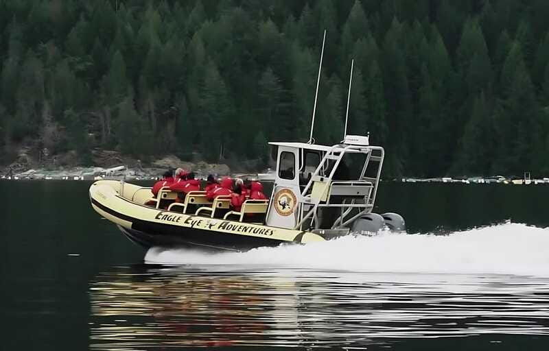 campbell-river-discovery-passage-wildlife-zodiac-boat-tour