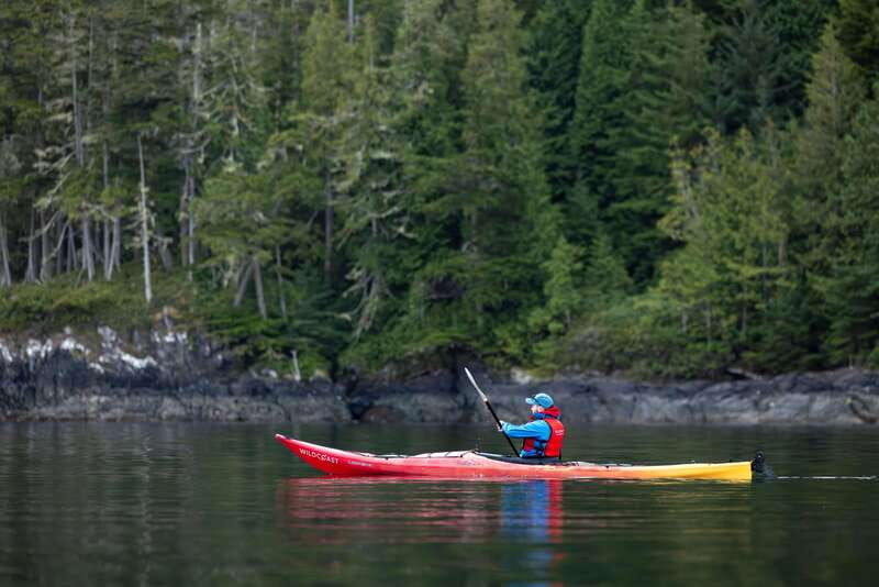 campbell-river-kayaking-and-whale-watching-tour