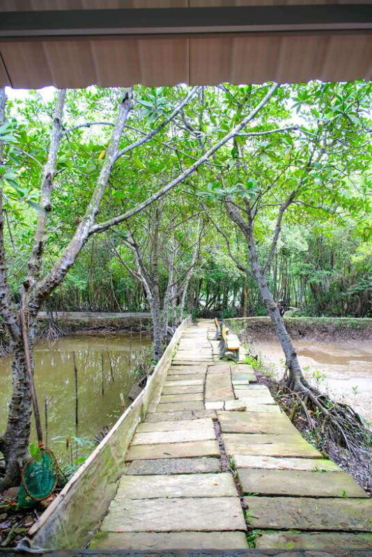 can-gio-mangrove-wildlife-day-tour-by-speedboat-from-hcmc