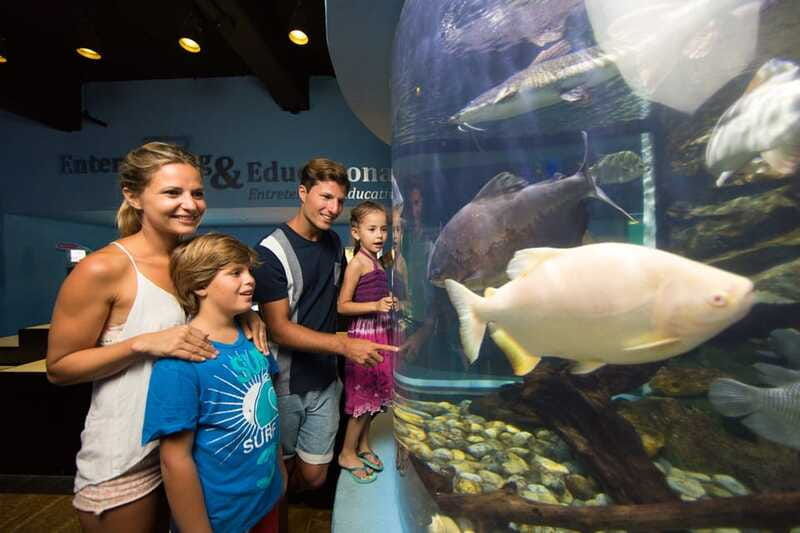 cancun-interactive-aquarium-admission