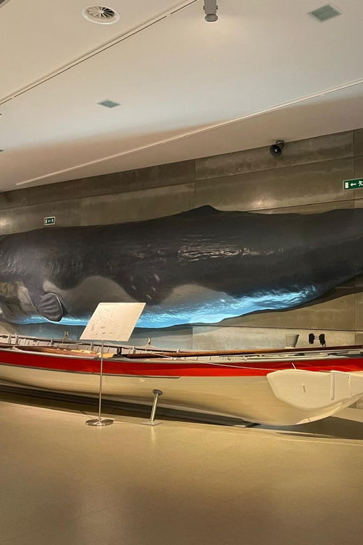 canical-madeira-whale-museum-entry-ticket