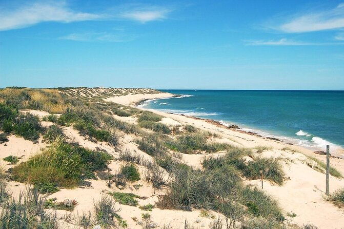 Cape Range National Park Full-Day Trekking Adventure - FAQs