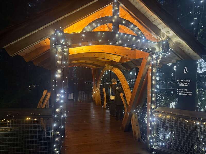 capilano-suspension-bridge-charismas-canyon-light-lux-car