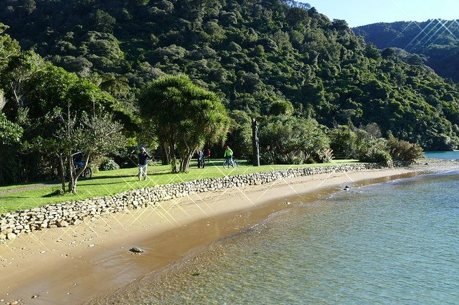 Captain Cook and Dolphin Cruise - Considerations and Tips